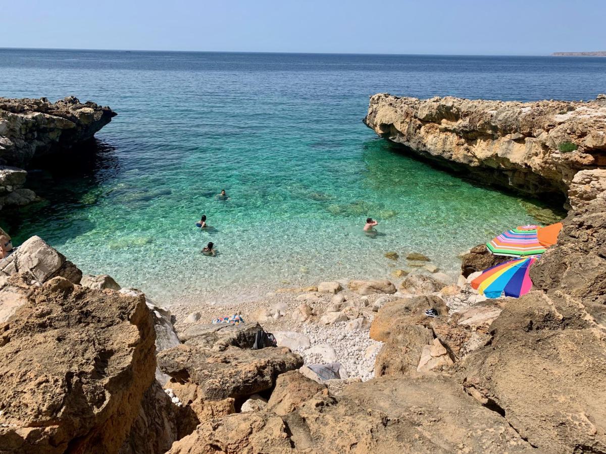 L'Oasi Una Pineta Sul Mare Custonaci Exterior foto
