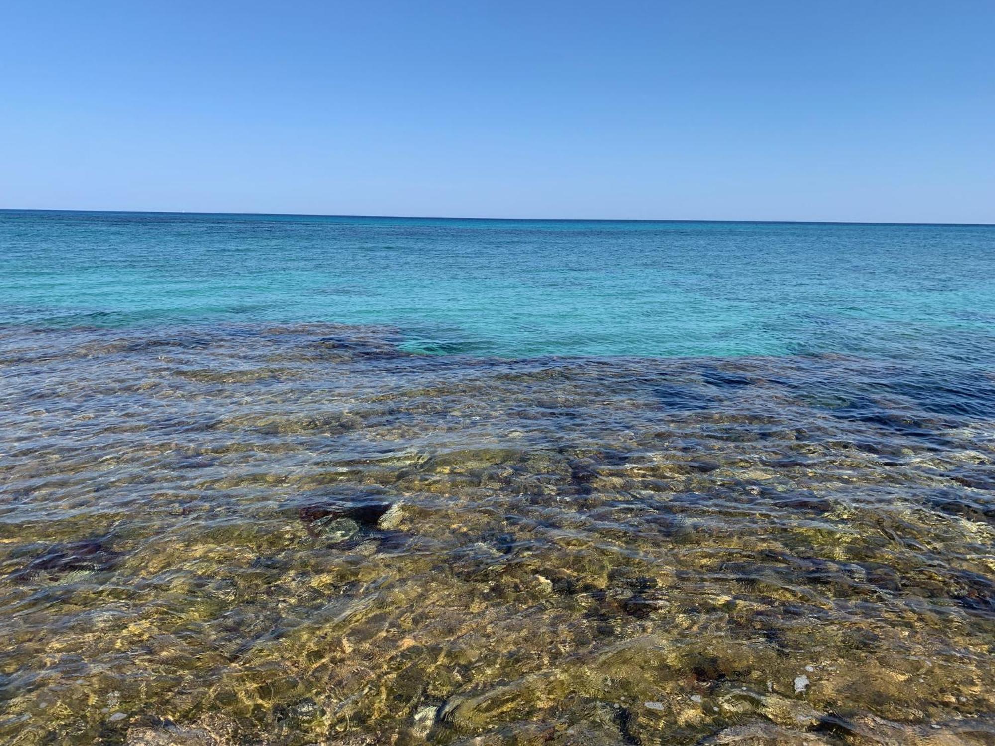 L'Oasi Una Pineta Sul Mare Custonaci Exterior foto