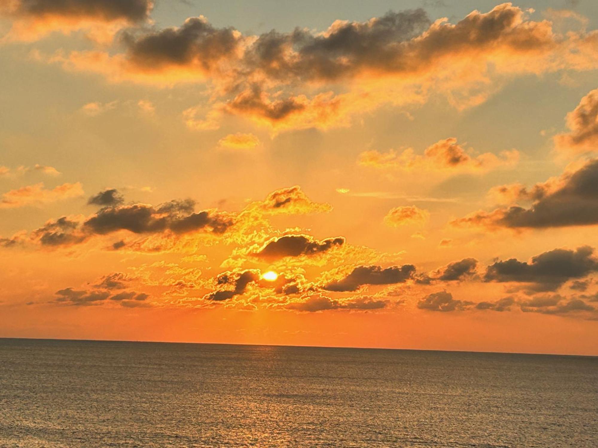 L'Oasi Una Pineta Sul Mare Custonaci Exterior foto